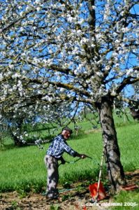 macerata_campagna13