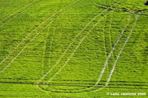 massa_fermana_campagna1