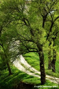 matelica_campagna007