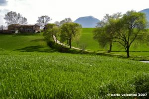 matelica_campagna009