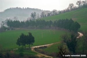 montefeltro02