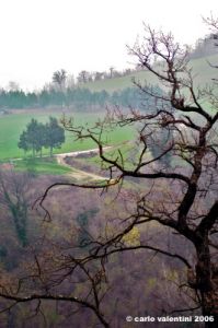 montefeltro06