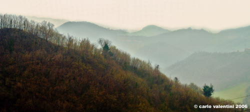 montefeltro41