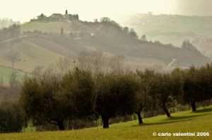 montottone05