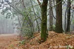 parco_conero052
