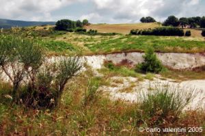 parco_conero064