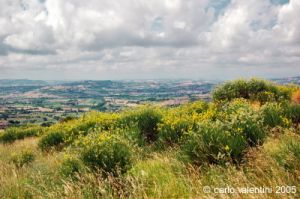 parco_conero069