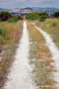 parco_conero070