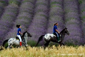 parco_conero085