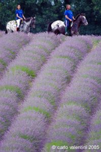 parco_conero127