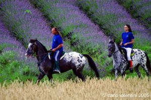 parco_conero142