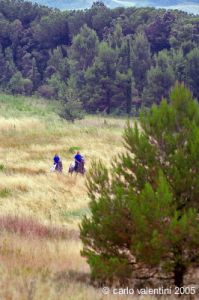 parco_conero162
