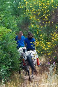 parco_conero170