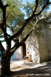 parco_conero229