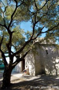 parco_conero230
