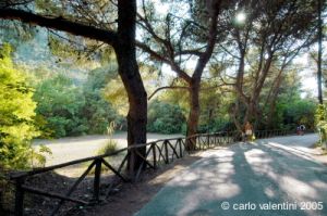 parco_conero237