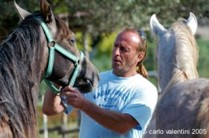 parco_conero_azalee10