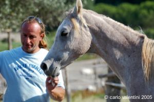 parco_conero_azalee17