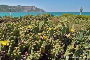 parco_conero_fortino027