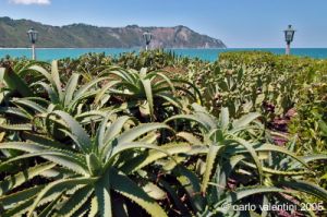 parco_conero_fortino028