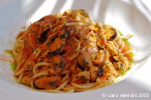 parco_conero_fortino071