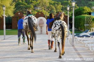parco_conero_fortino171