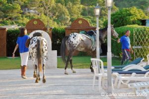 parco_conero_fortino174