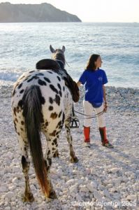 parco_conero_fortino176