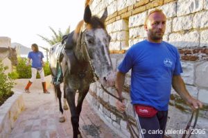 parco_conero_fortino197