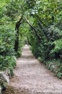 parco_conero_monastero051