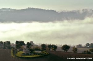recanati0011