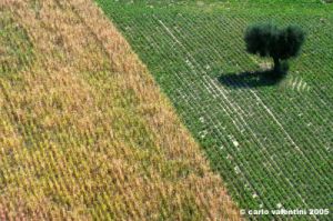 recanati07_050825