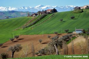 recanati_campagna01_060404