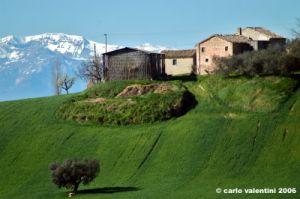recanati_campagna02_060404