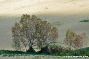 recanati_campagna03