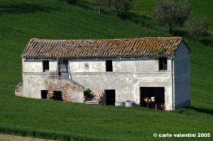 recanati_campagna07