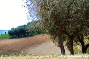 recanati_campagna13_050422