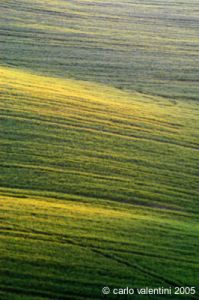 recanati_campagna1_050415