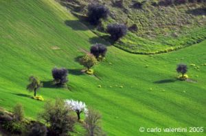 recanati_campagna1_050419