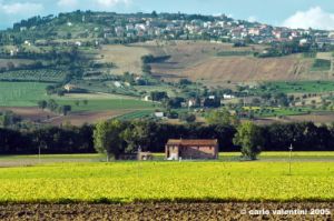 recanati_campagna1_051004