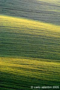 recanati_campagna2_050415