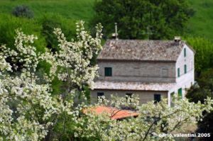 recanati_campagna2_050510