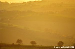 recanati_campagna31