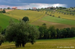recanati_campagna32