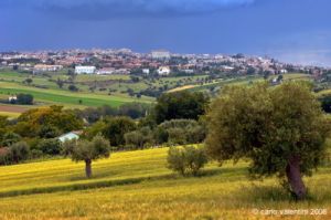 recanati_campagna34