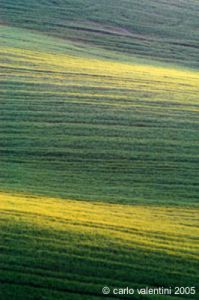 recanati_campagna3_050415
