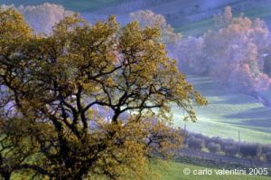 recanati_campagna3_050418