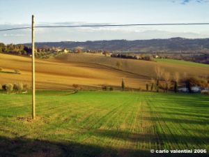 recanati_chiarino16