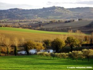 recanati_chiarino34