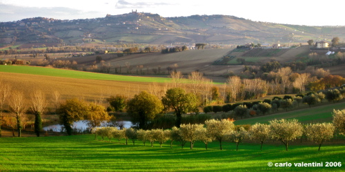 recanati_chiarino3536